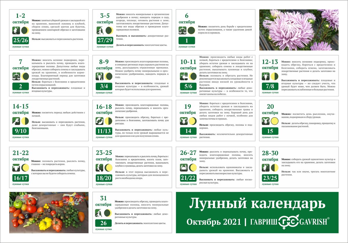 Посевной календарь на июль месяц 2025