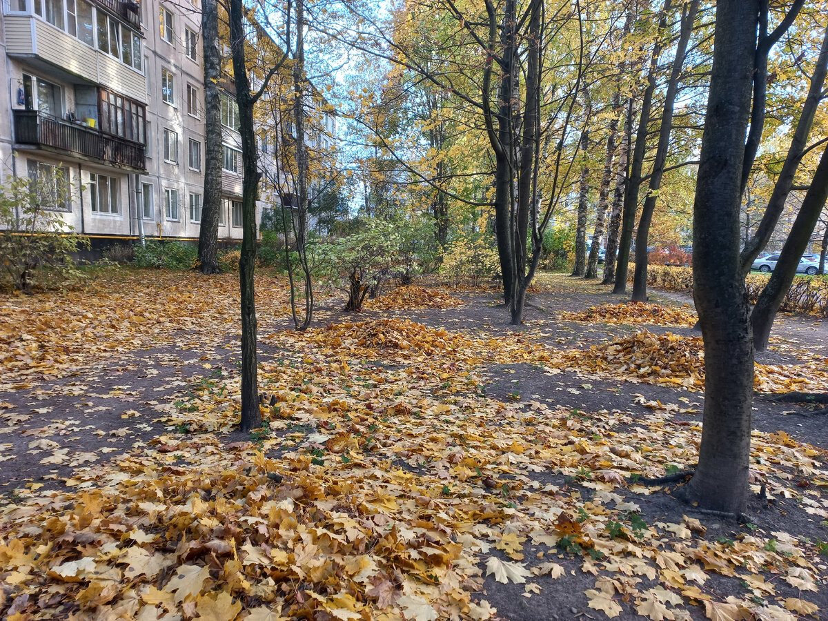 А вот здесь уже нет осеннего чуда.