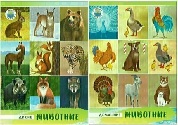 Добавьте описание