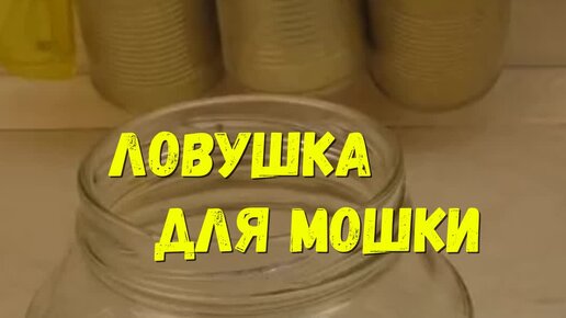 Генератор идей для видео