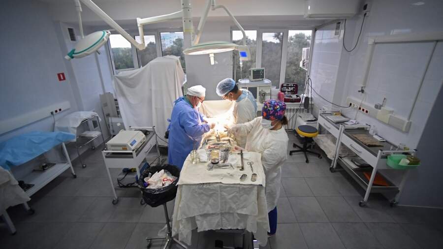 Фото: РИА Новости