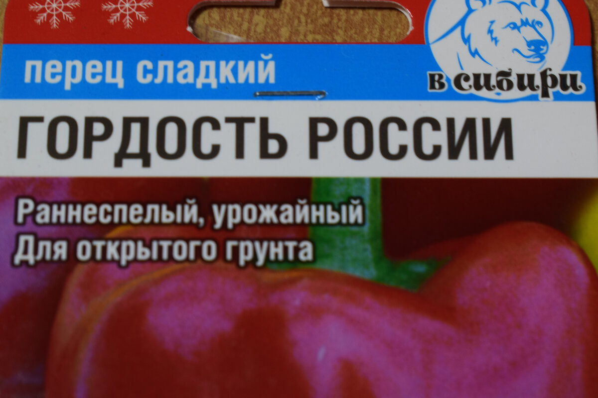 Перец гордость россии описание сорта фото отзывы По итогам сезона это лучшие сорта сладкого перца, которые будут расти на моих гр