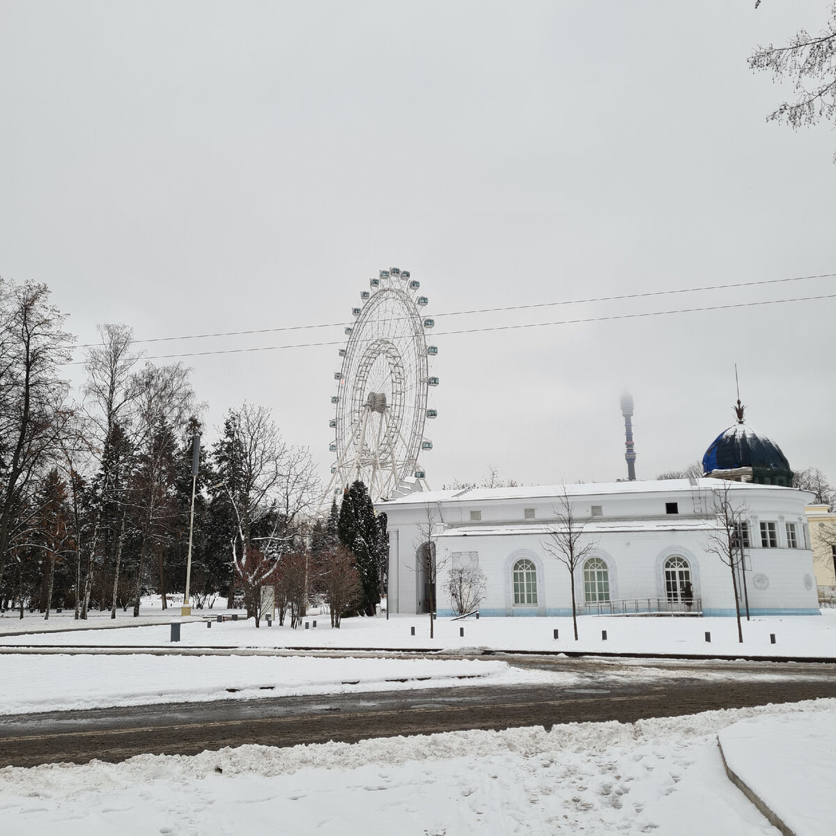 Колесо обозрения "Солнце Москвы" издалека