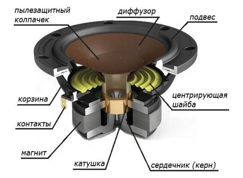 Устройство динамика