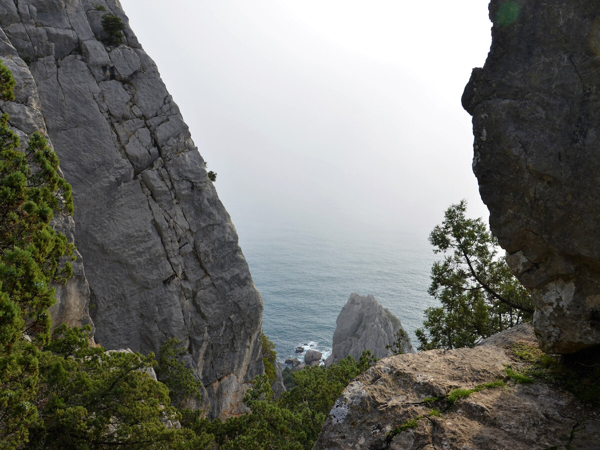 Вид с горы Кошка на Чёрное море и на скалу Крыло Лебедя. Прежнее название этой скалы Кауша-Кая. Видимо, тоже жертва четвёртой волны переименований. Фото автора.
