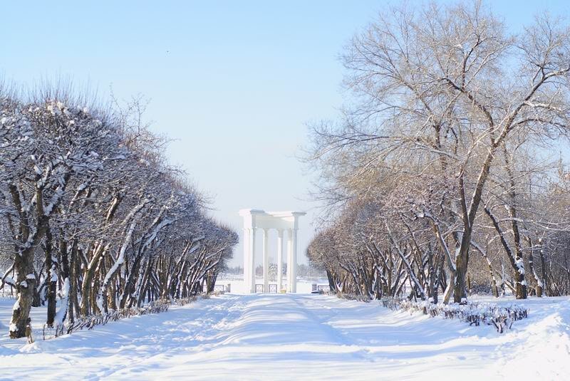 Яндекс. Картинки