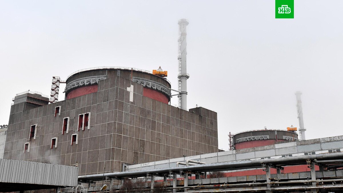    Фото: РИА Новости © 2022, Евгений Биятов