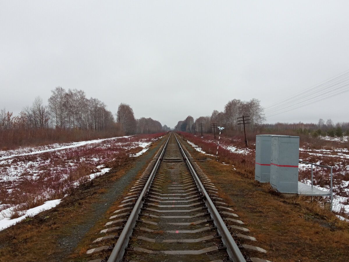 Путешествие на малодеятельную ветку в Егоршино | SWNTrains | Дзен