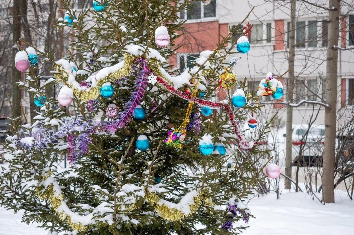 Фото: Олег Золото / MR7