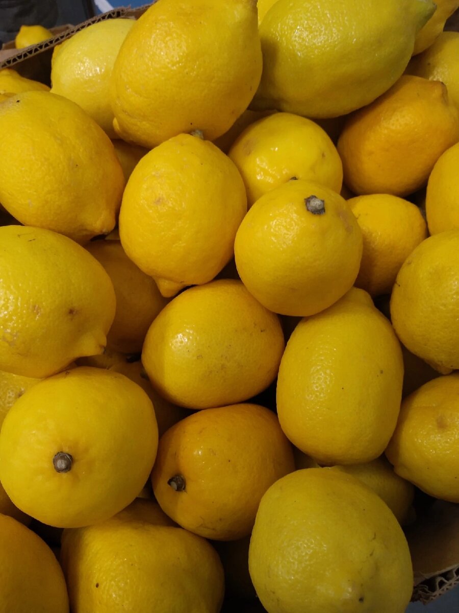 Лимончики в магазине Светофор 🚥