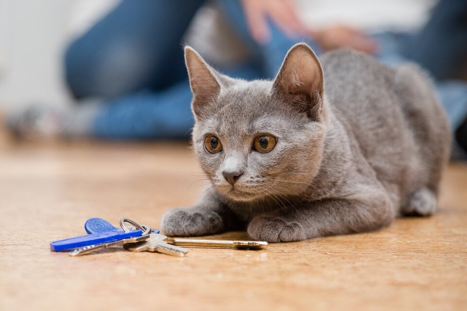     Молодой человек уже получил ключи от благоустроенной квартиры Валерий ЗВОНАРЕВ