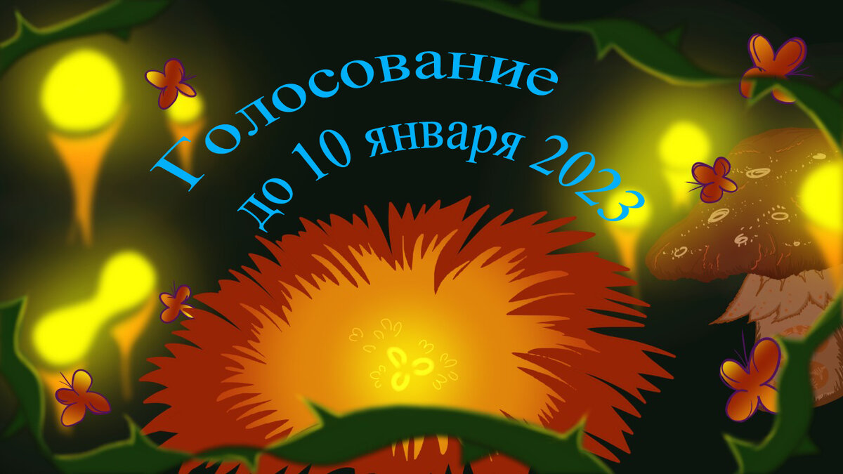 Выбираем победителя