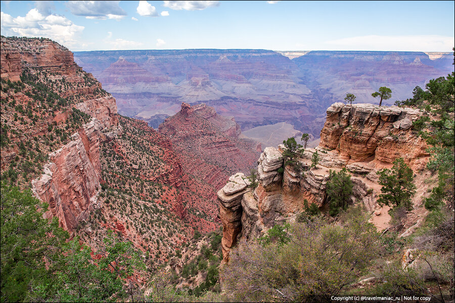 Mule Grand Canyon