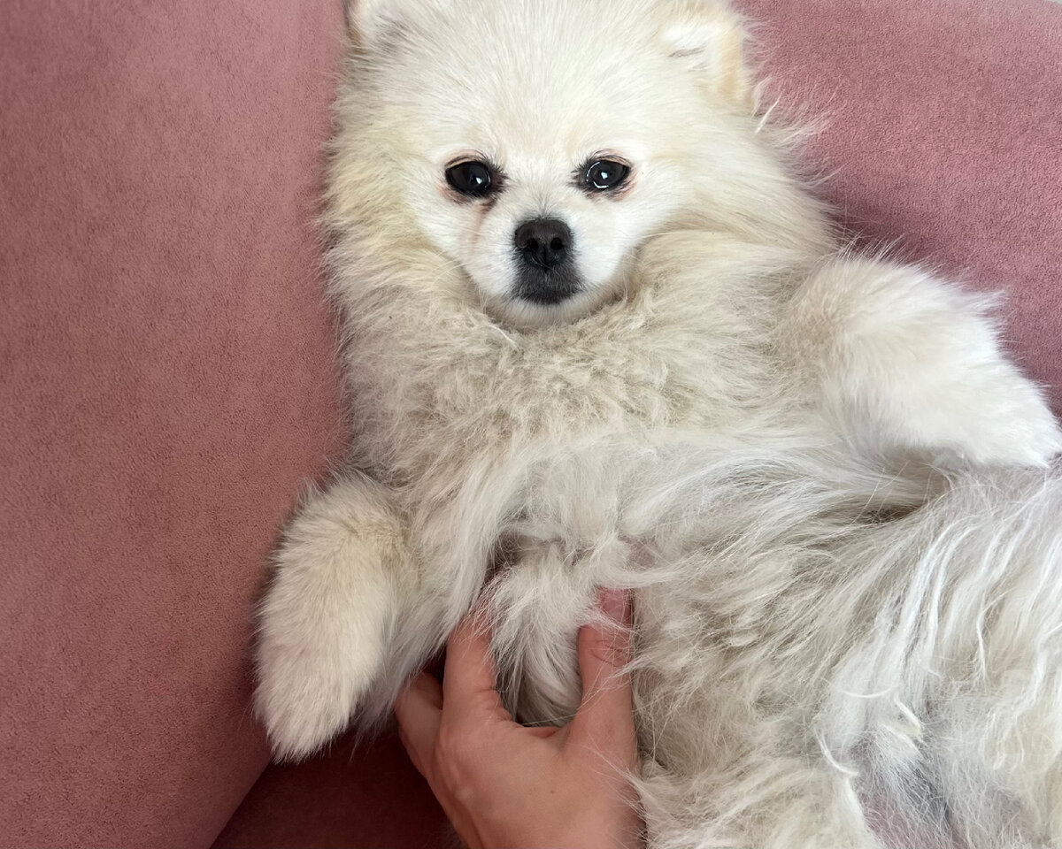 Было не просто решится, но я не жалею о том, что сделала 