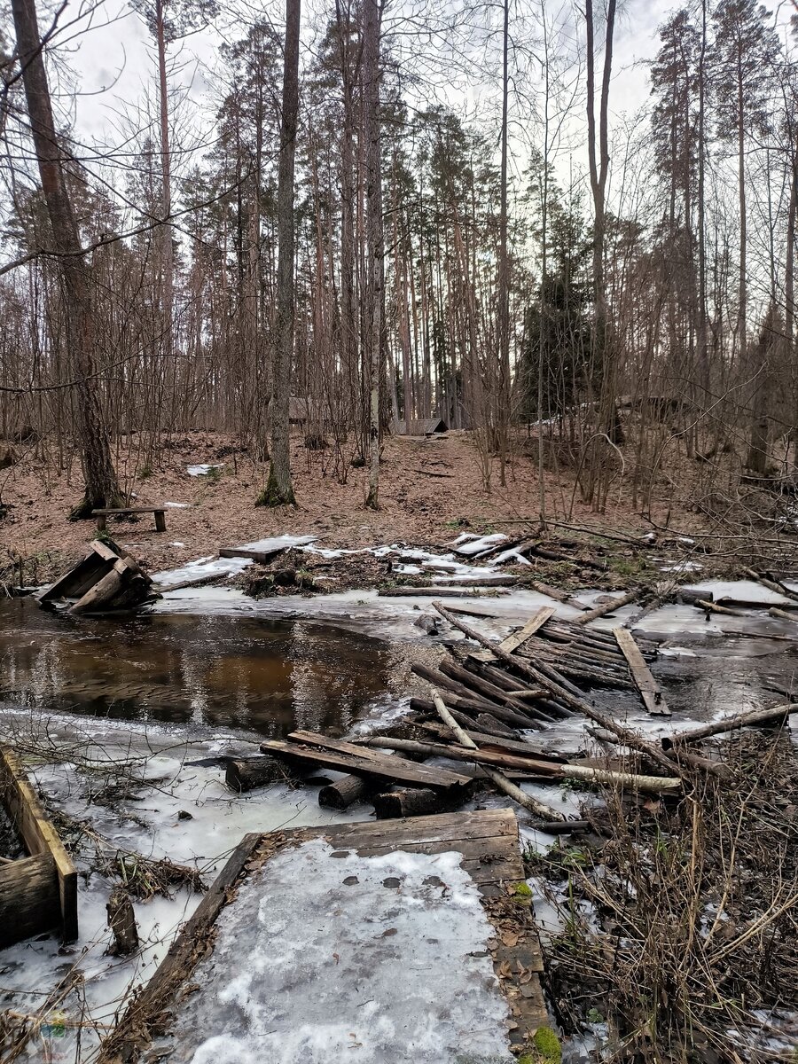 стоянка виноградова брянск фото