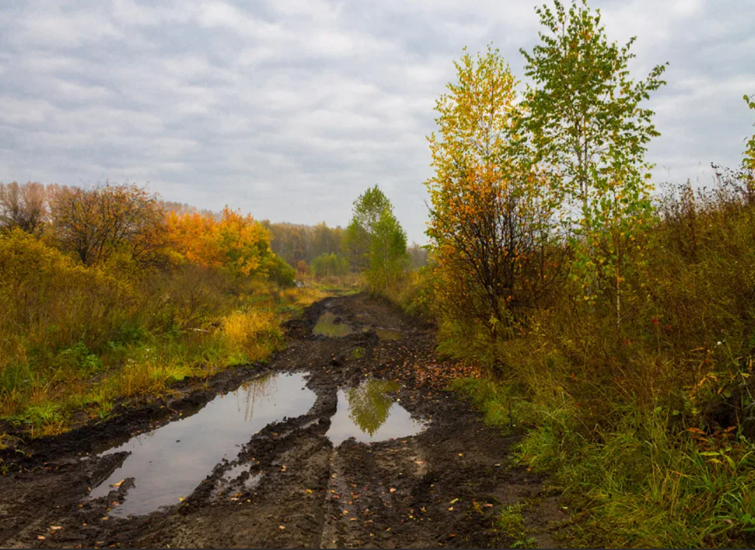 Осенняя распутица. Осеннее бездорожье. Распутица. Бездорожье осенью.