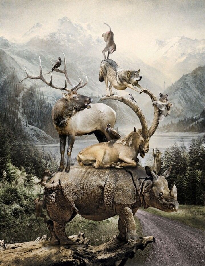 картинка с просторов интернета