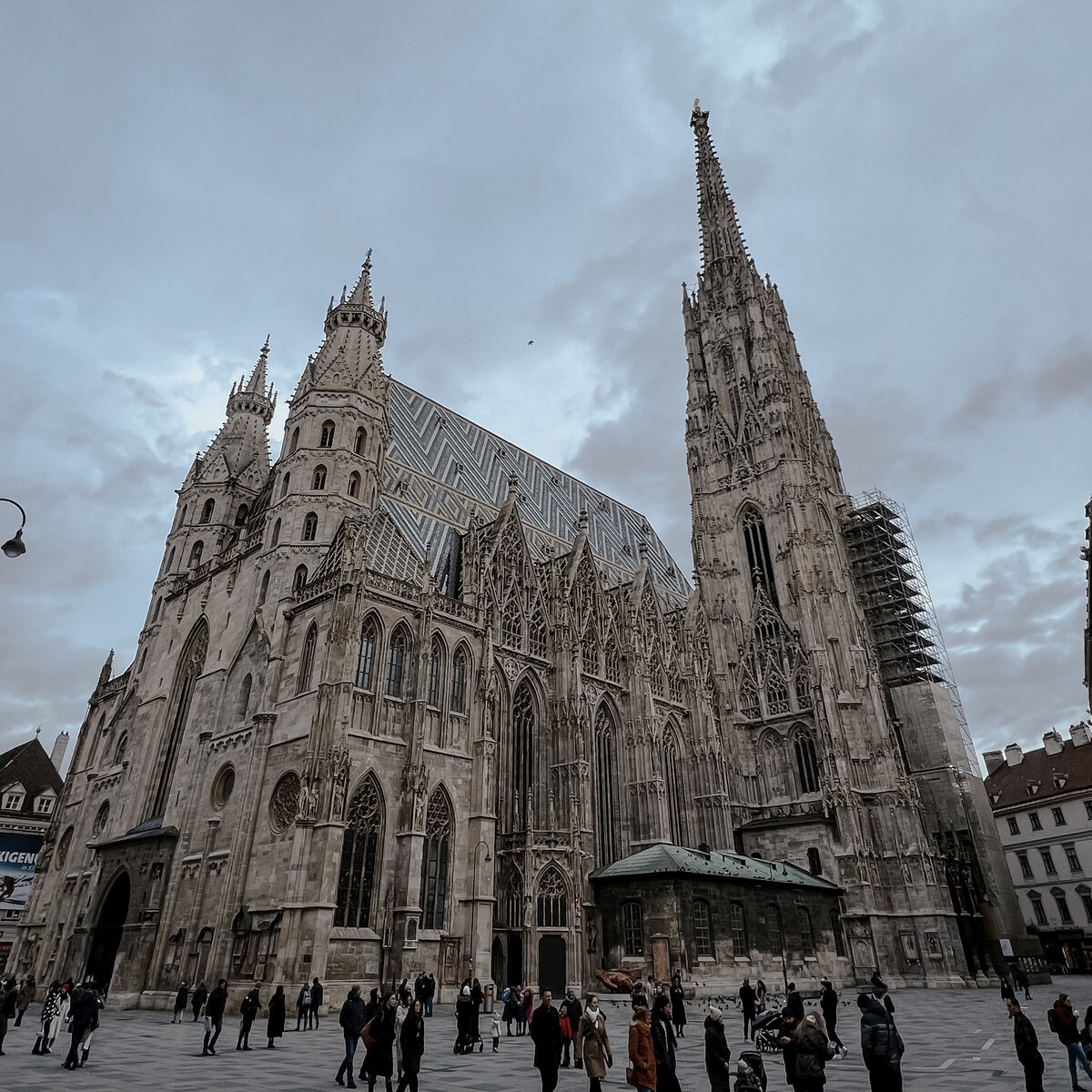 Из поездки в январе 2023. Больше фото в Inst: @vslv.ly