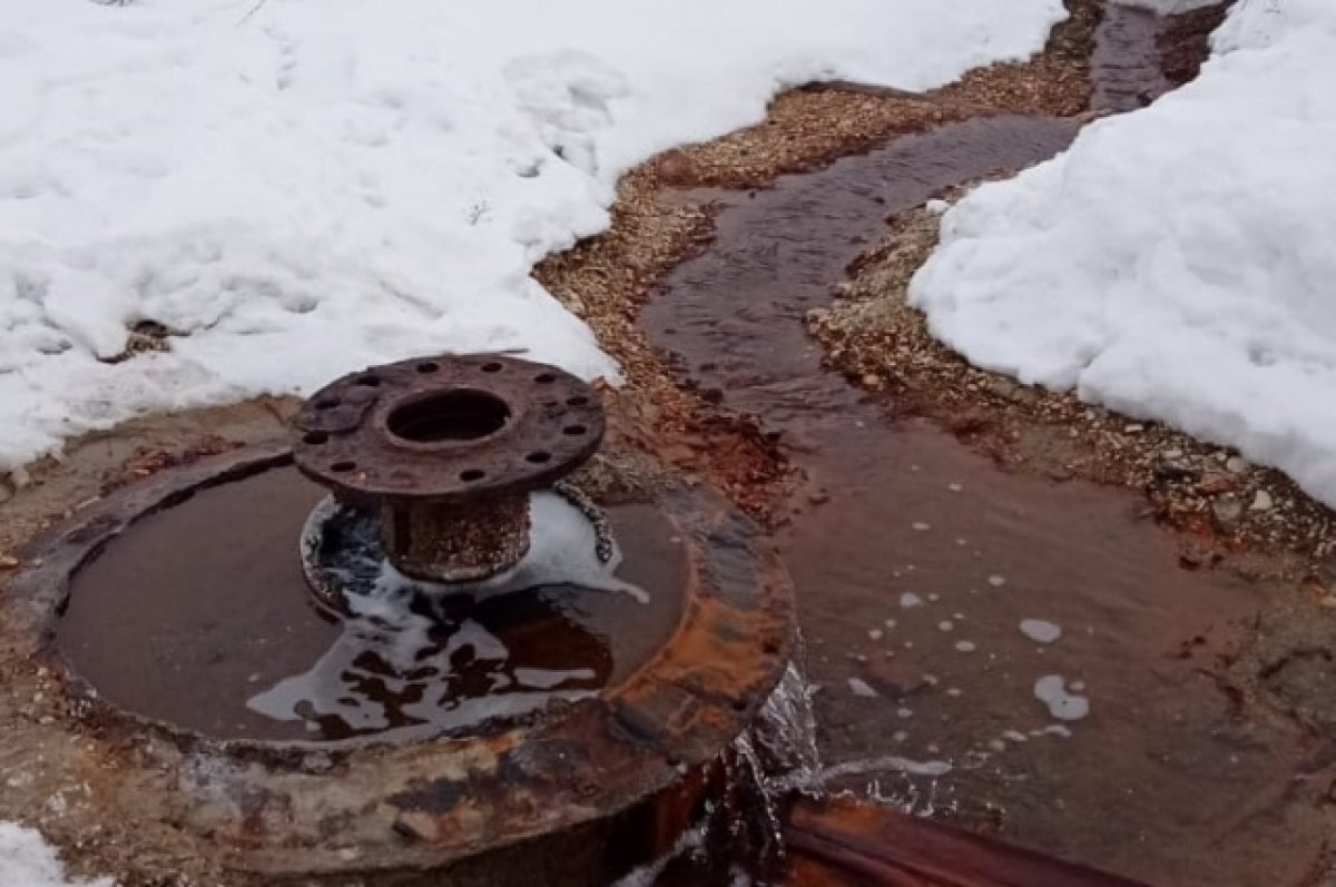    Источники Девонского моря планируется благоустроить в Лыскове