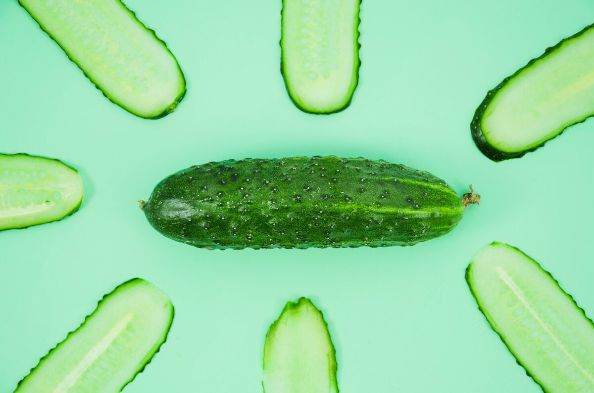 Пошаговое руководство: как вырастить огурцы 🥒 Темп, Кураж, Бьёрн и  Луховицкий на своем огороде | Теплицы Кремлёвские | Дзен