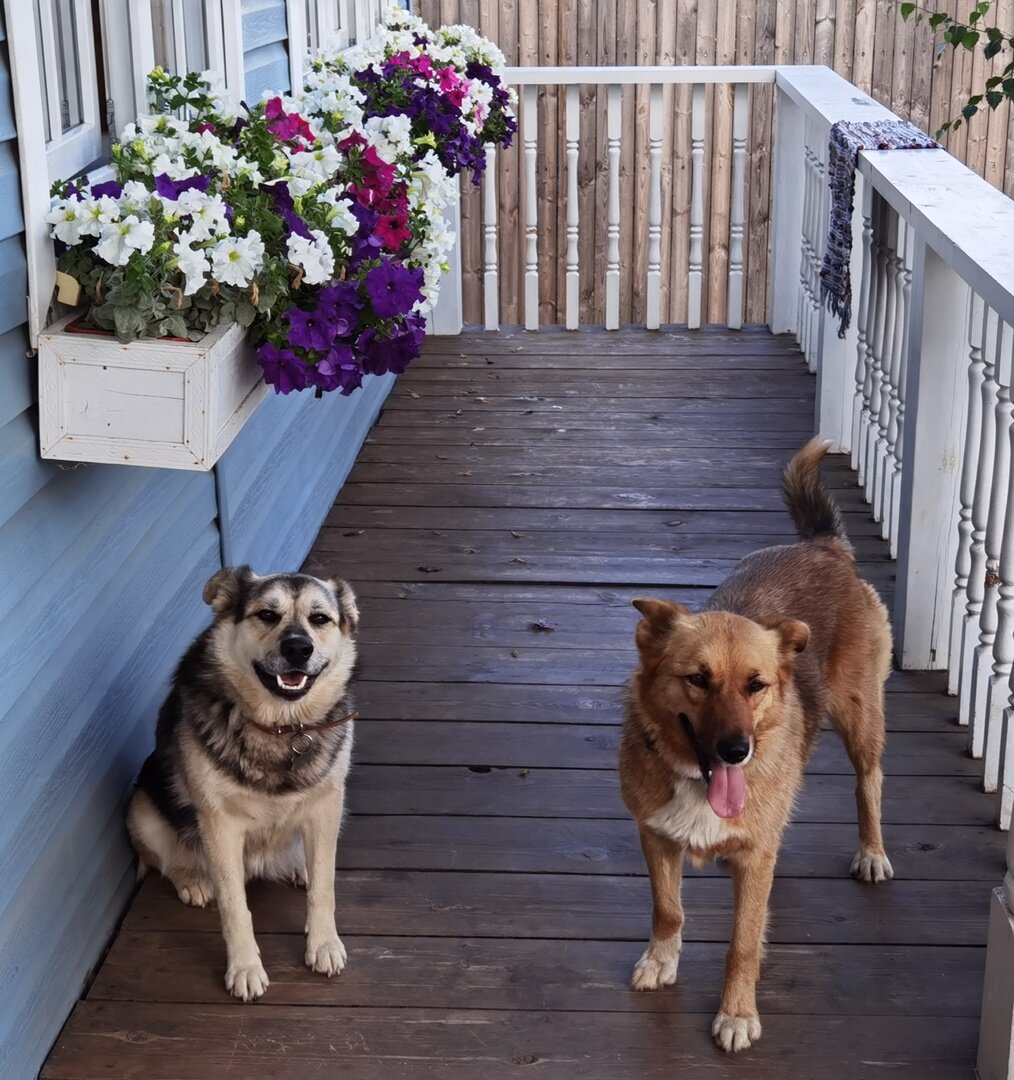 Даже не знаю, кто тут краше — цветы или бублики