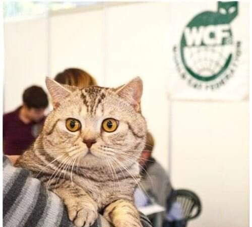 Мой Масик, герой истории. Фото из личного архива.