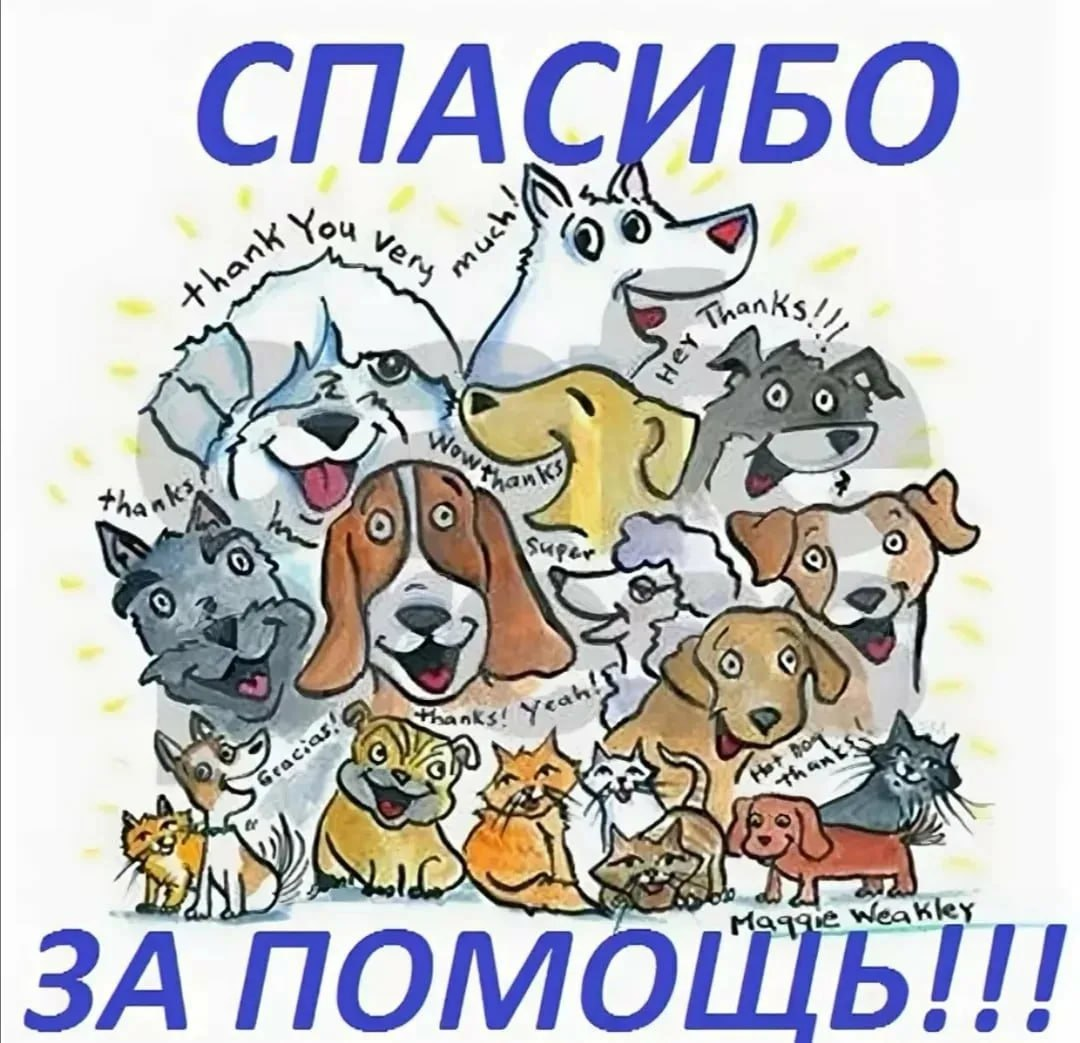 Спасибо волонтерам картинка
