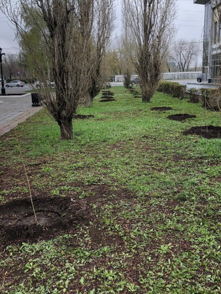    Акция «Сад памяти-2023» пройдет в Оренбуржье в мае, она будет посвящена событиям ВОВ Белов Михаил Александрович