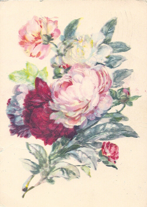 1956 г. Пионы. Худ. В. Хвостенко