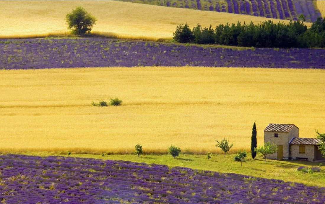 Фото из интернета