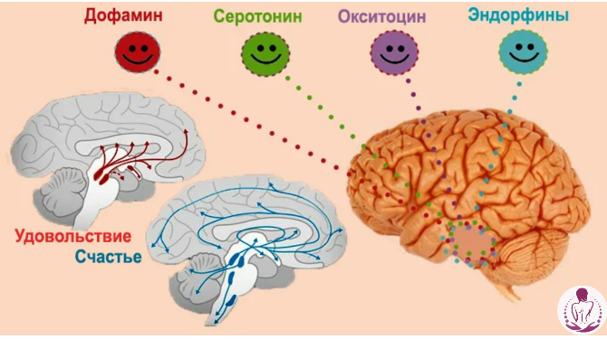Гормоны счастья: всё, что нужно знать, чтобы чувствовать себя счастливой каждый день!