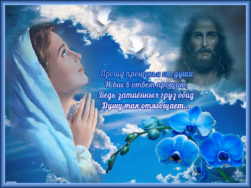 Прощу прощения за все 🙏
