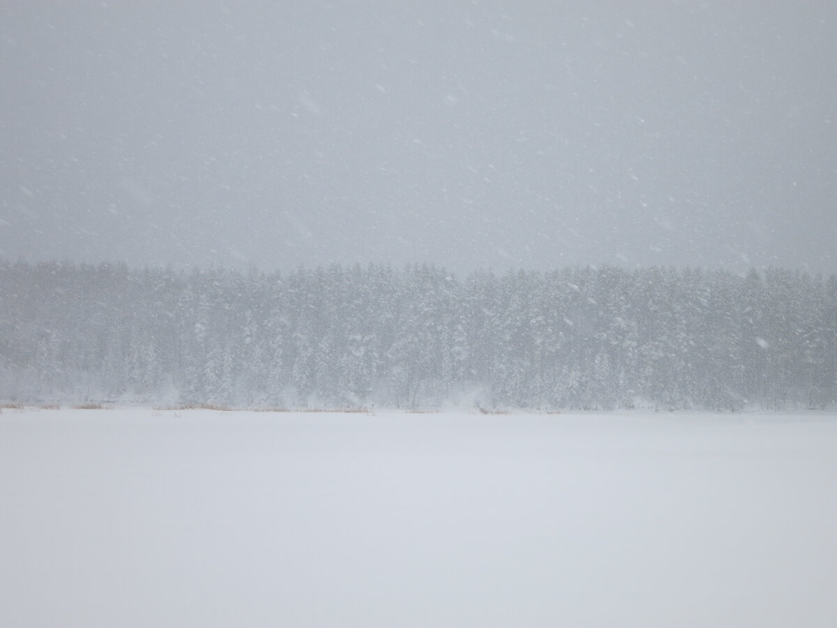 Запуршило, замело......