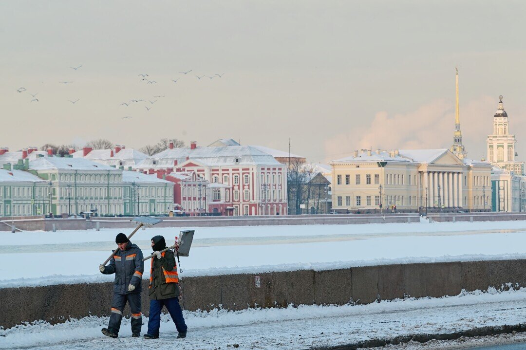    Фото: Dmitrii Iakimov / Shutterstock.com