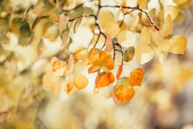 Photo by Katie Moum on Unsplash 
