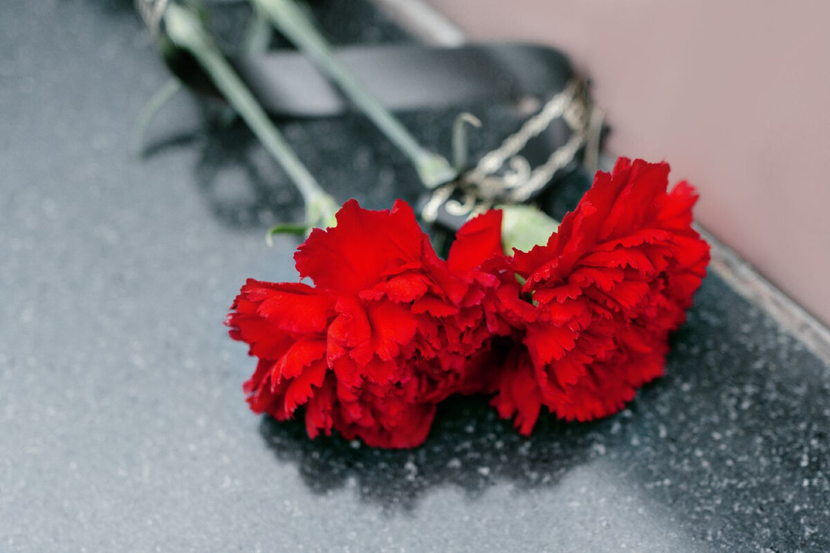   Фото:iStock