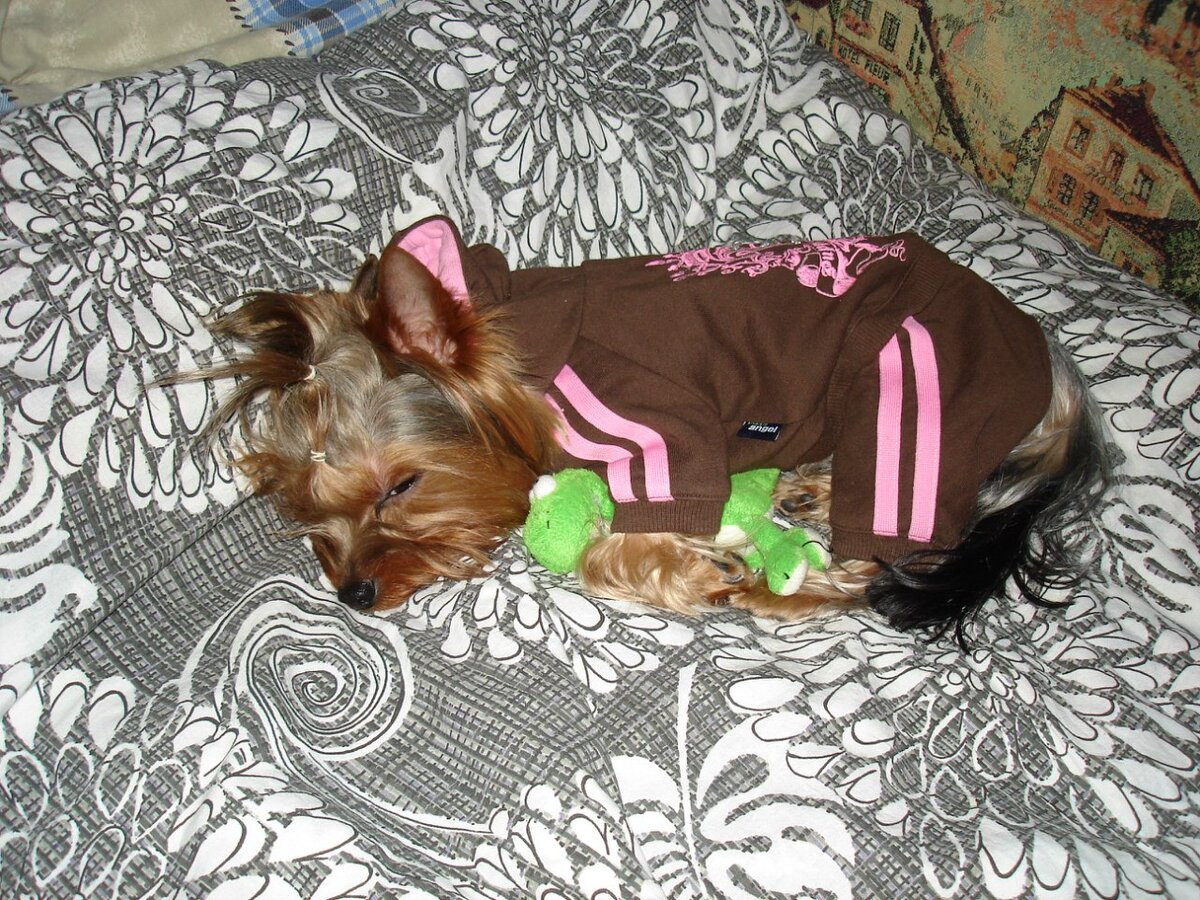 В этом костюмчике и похоронили.