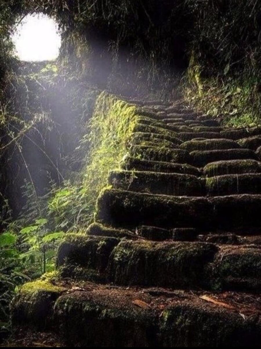 Фото взято из открытых источников