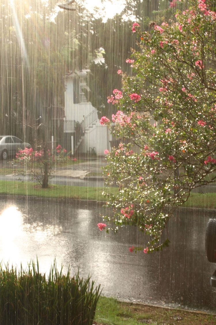 Дождь весной ☔️