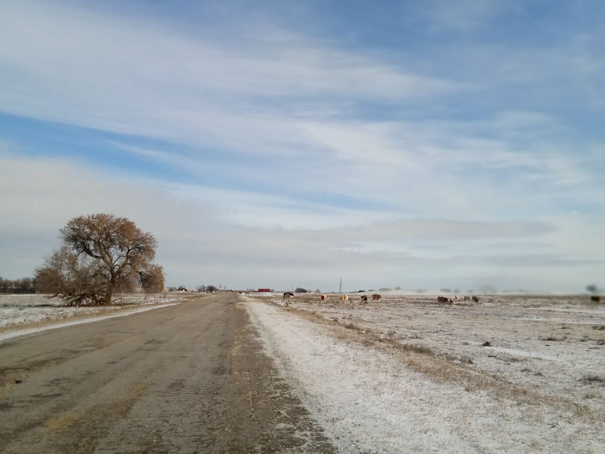 Пигари озинский район. Пролетарский белгородская. Ресторан санта барбара усть качка. 85 день дорога. Трасса урюпинск волгоград.