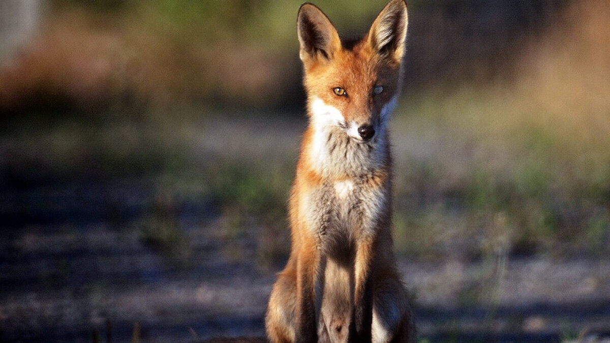 источник фото: m24.ru