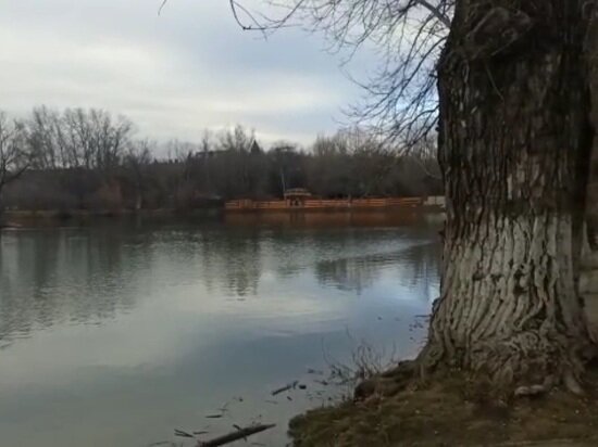     Фото: Татьяны Гущиной