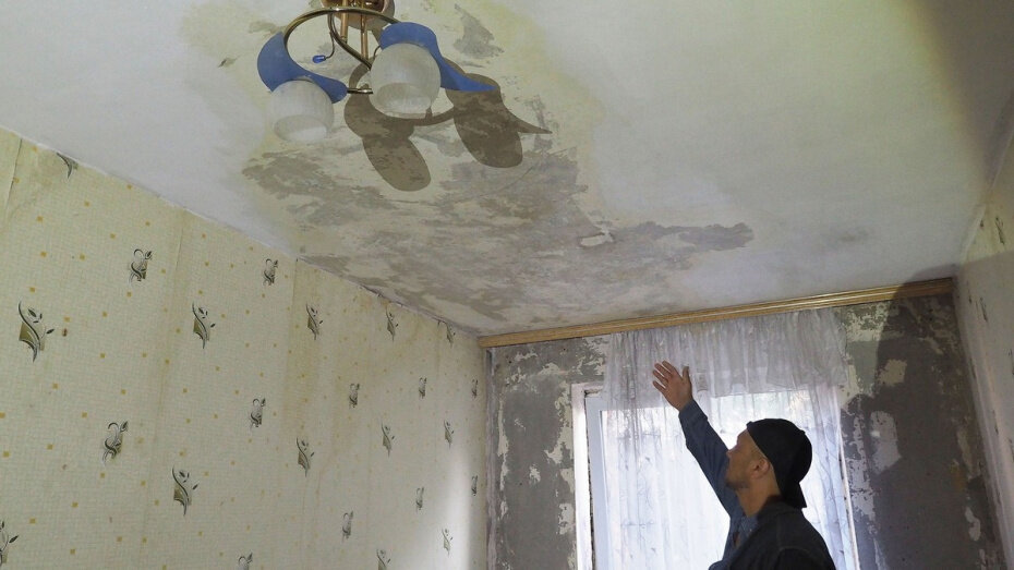    Автор фото: Виталий Грасс (из архива)