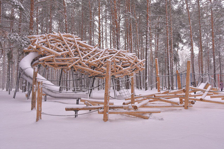    С 2020 года вместе с жителями города архитекторы размышляли о том, как сделать территорию лучше. Одной из ключевых задач развития территории стало восстановление экосистемы леса Фото: Олег Спиридонов