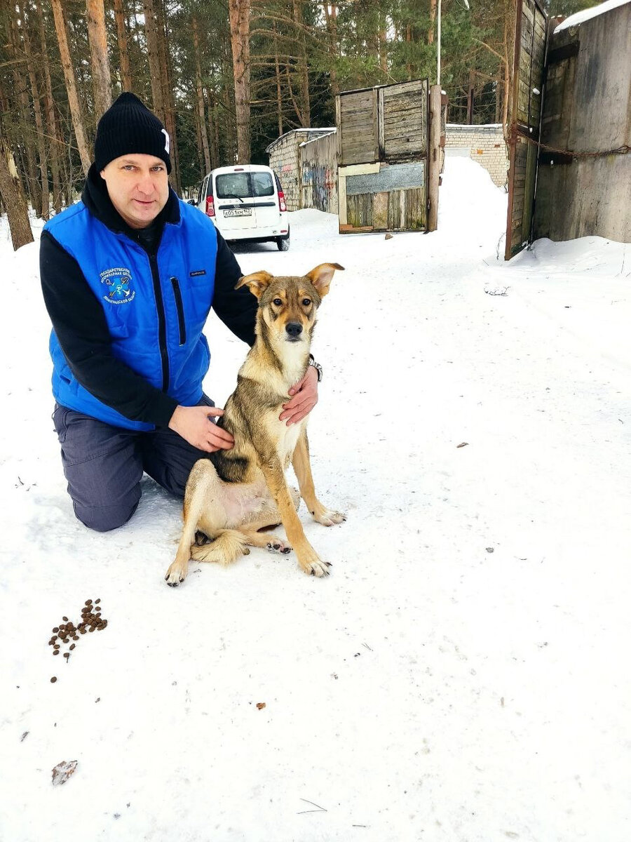 Фото: Управление ветеринарии Ленинградской области 