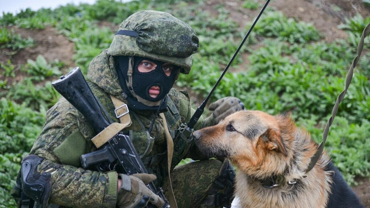     В Ростовской области объявлен набор в пограничную службу ФСБ России, критерии для потенциальных кандидатов опубликованы на сайте ведомства.