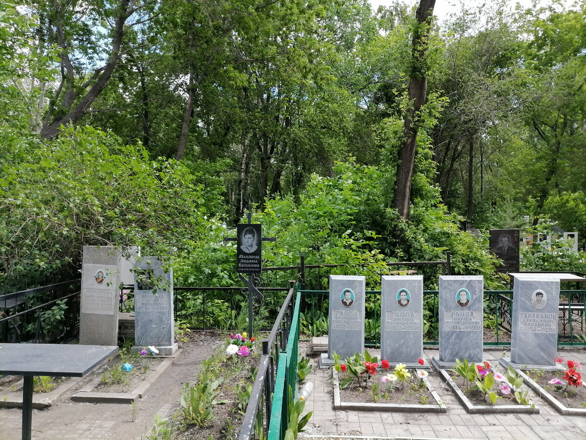 Левобережное кладбище воронеж карта