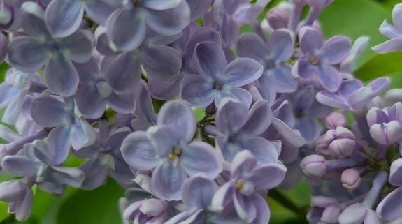    Фото: скриншот с сайта YouTube.com