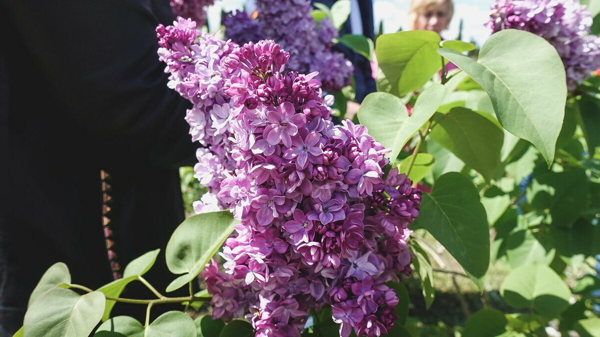     О том, какая погода ожидается в ближайшие дни, рассказали в Гидрометцентре.