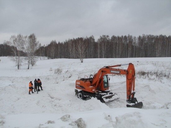     фото туад нсо